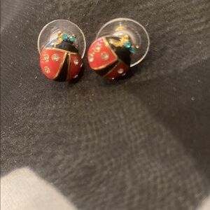Red and Black Ladybug Earrings